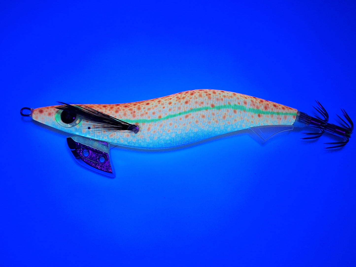Egitex Wildscales Series: Southern Calamari