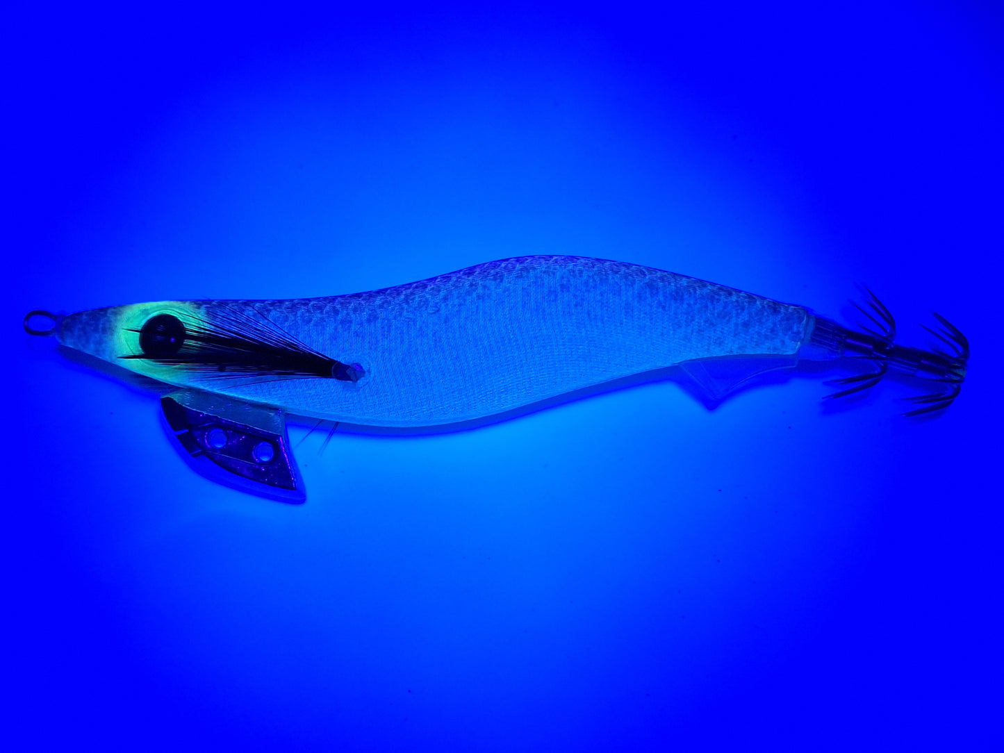 Egitex Wildscales Series: Yellow Eye Mullet