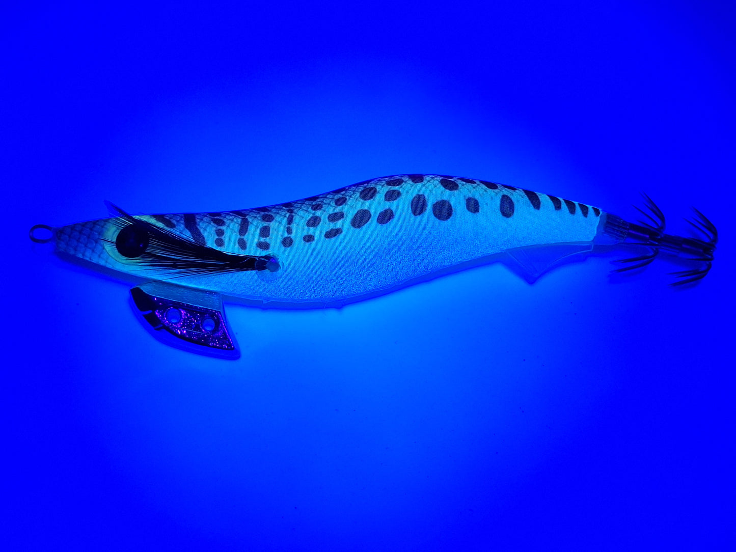Egitex Wildscales Series: Australian Salmon