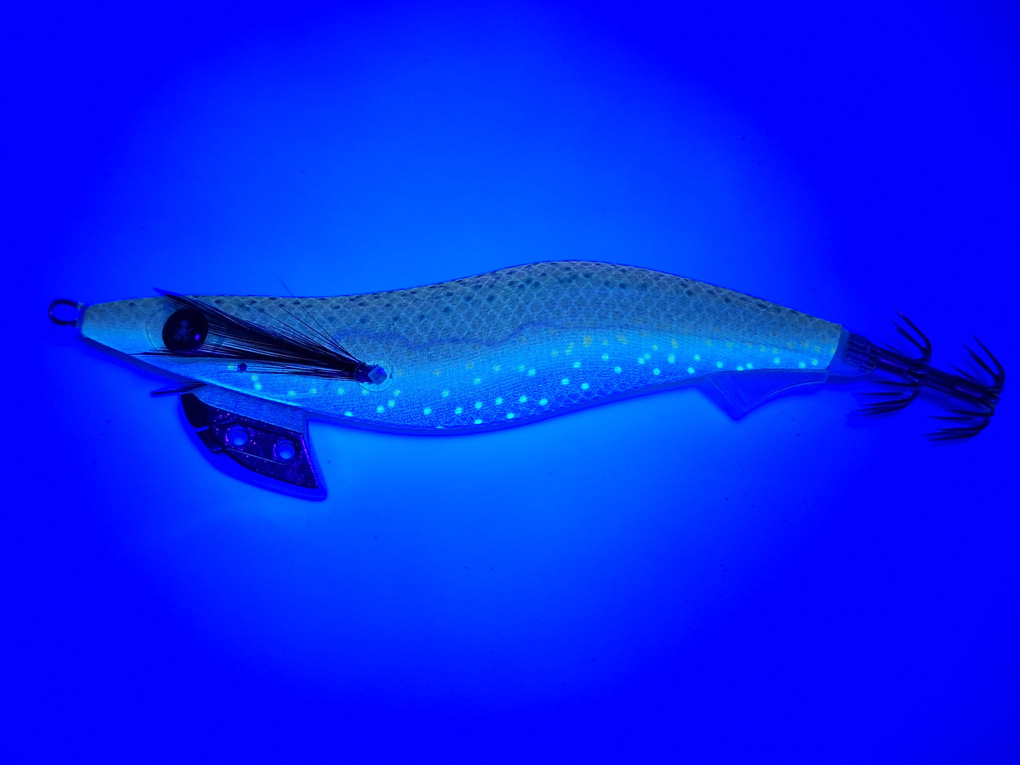 Egitex Wildscales Series: King George Whiting