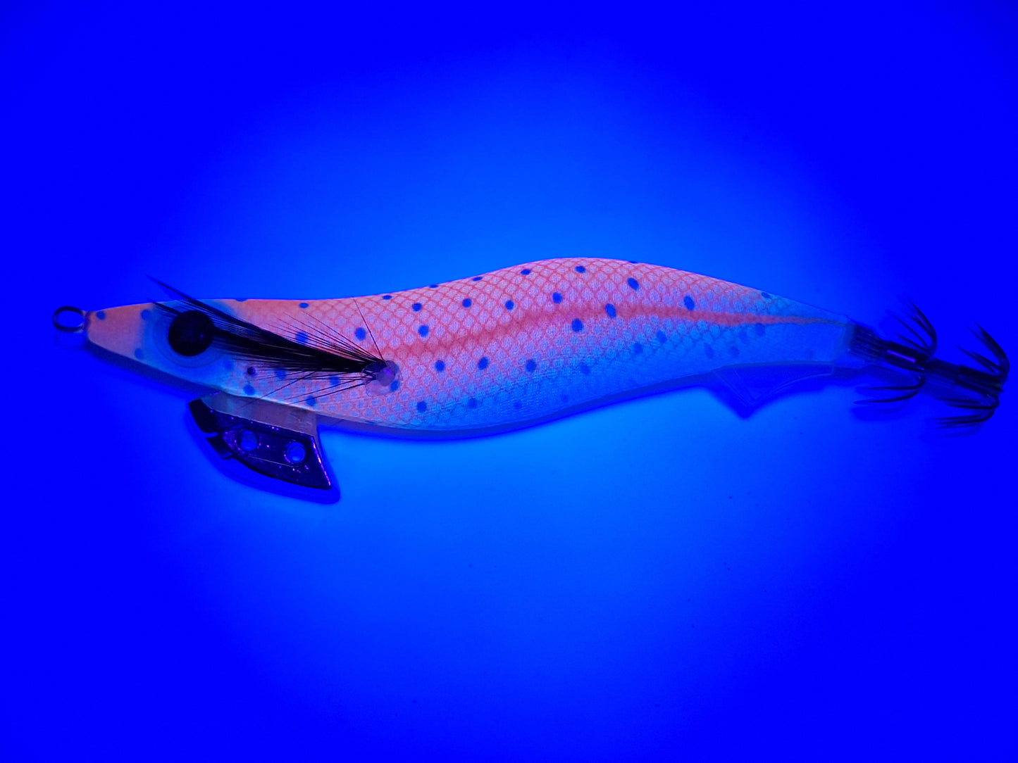 Egitex Wildscales Series: Snapper