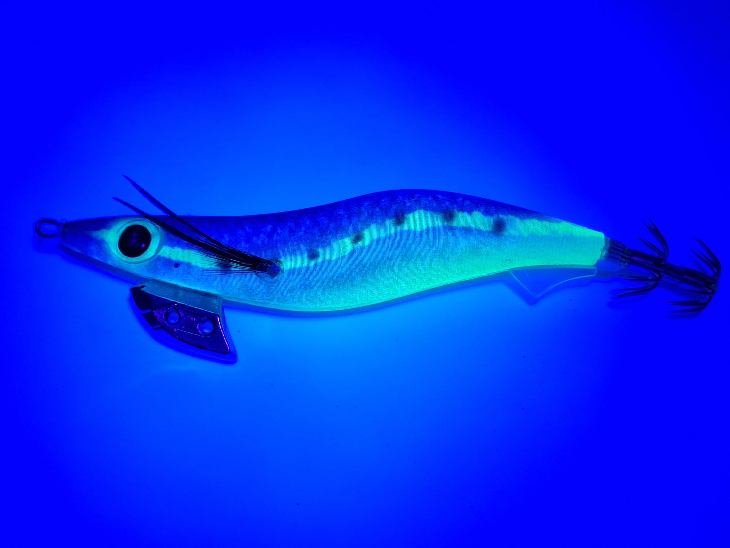 Egitex Wildscales Series: Pilchard