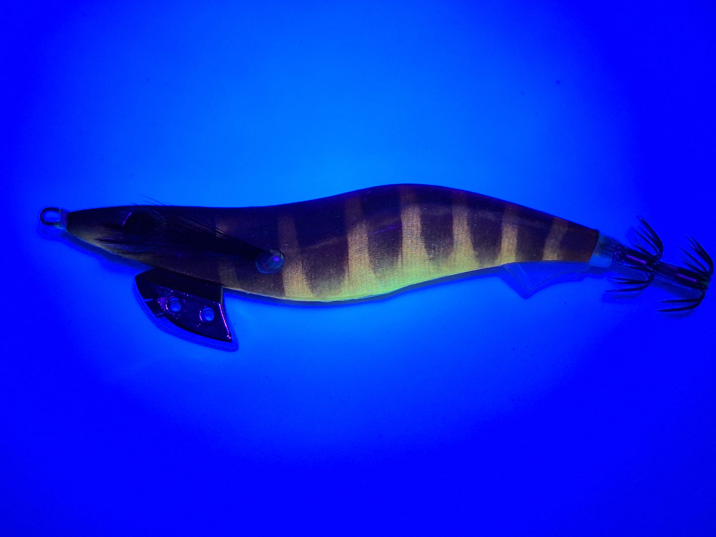Egitex Wildscales Series: Mud Shrimp