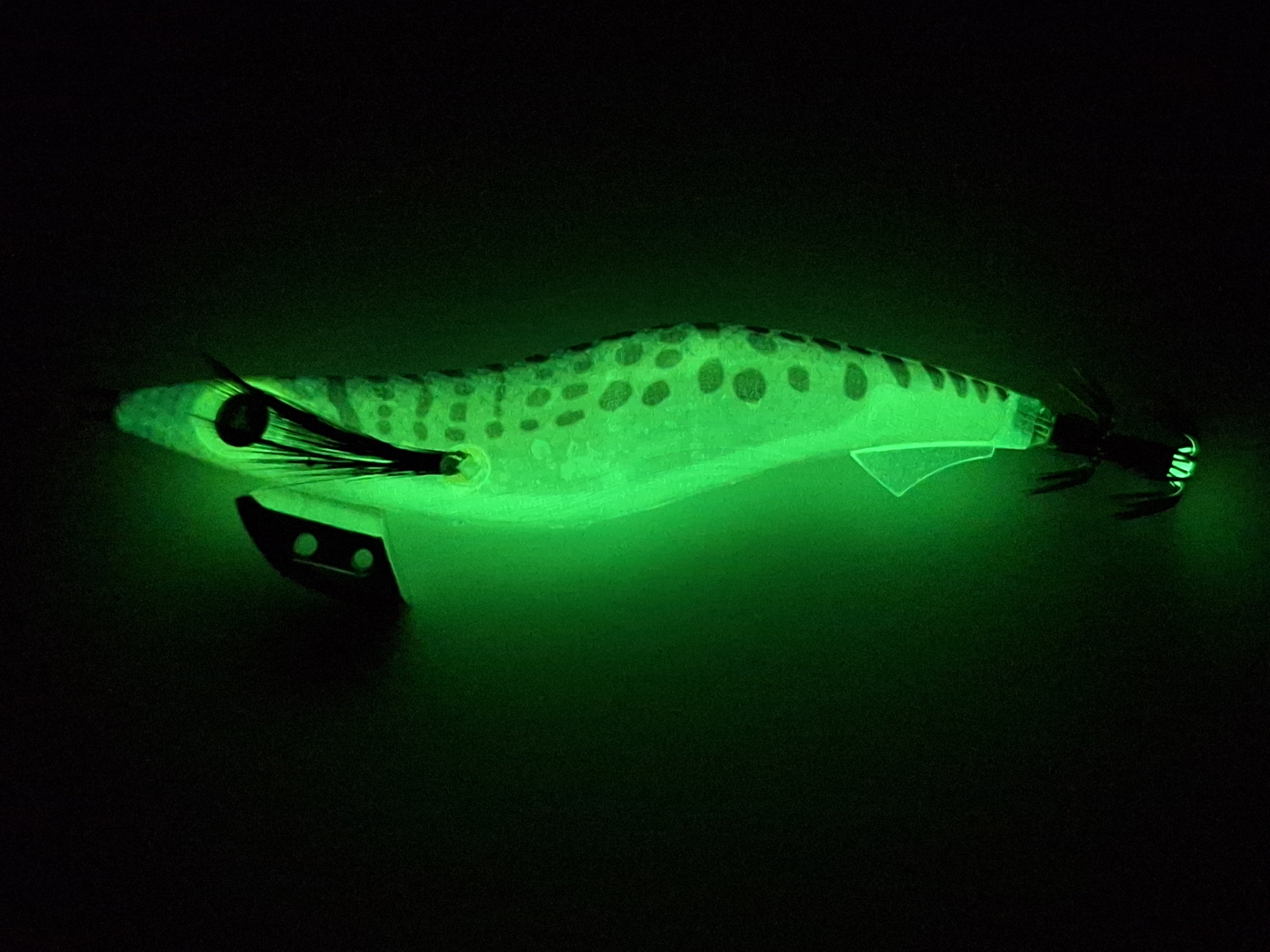 Egitex Wildscales Series: Australian Salmon