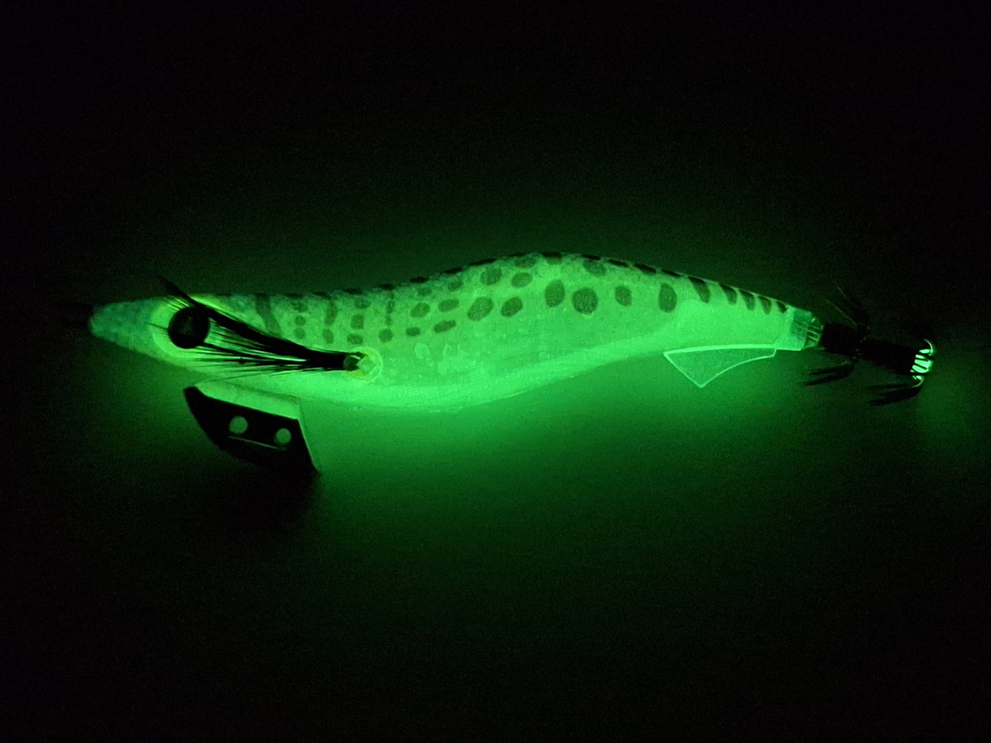 Egitex Wildscales Series: Australian Salmon