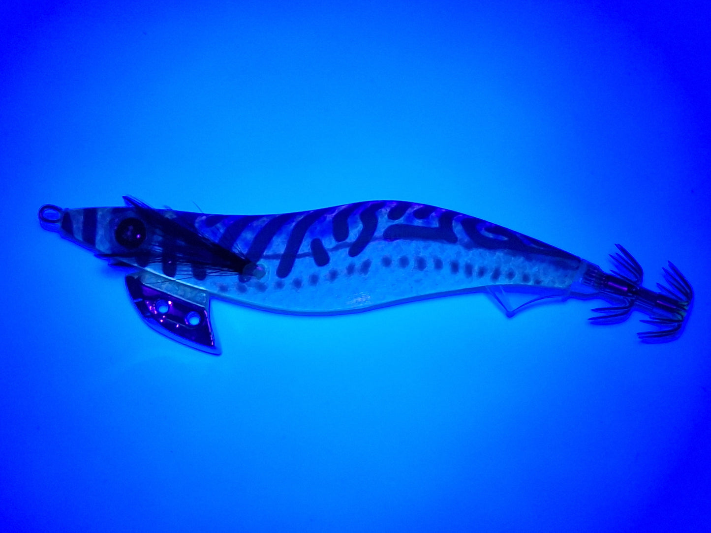 Egitex Wildscales Series: Mackerel
