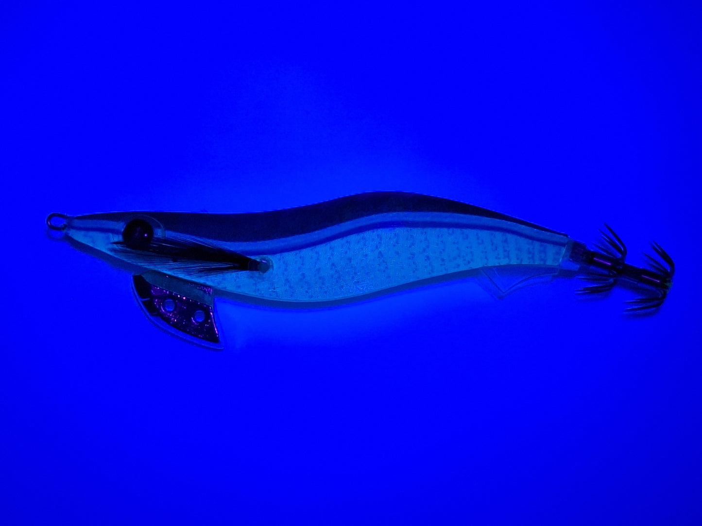 Egitex Wildscales Series: Garfish