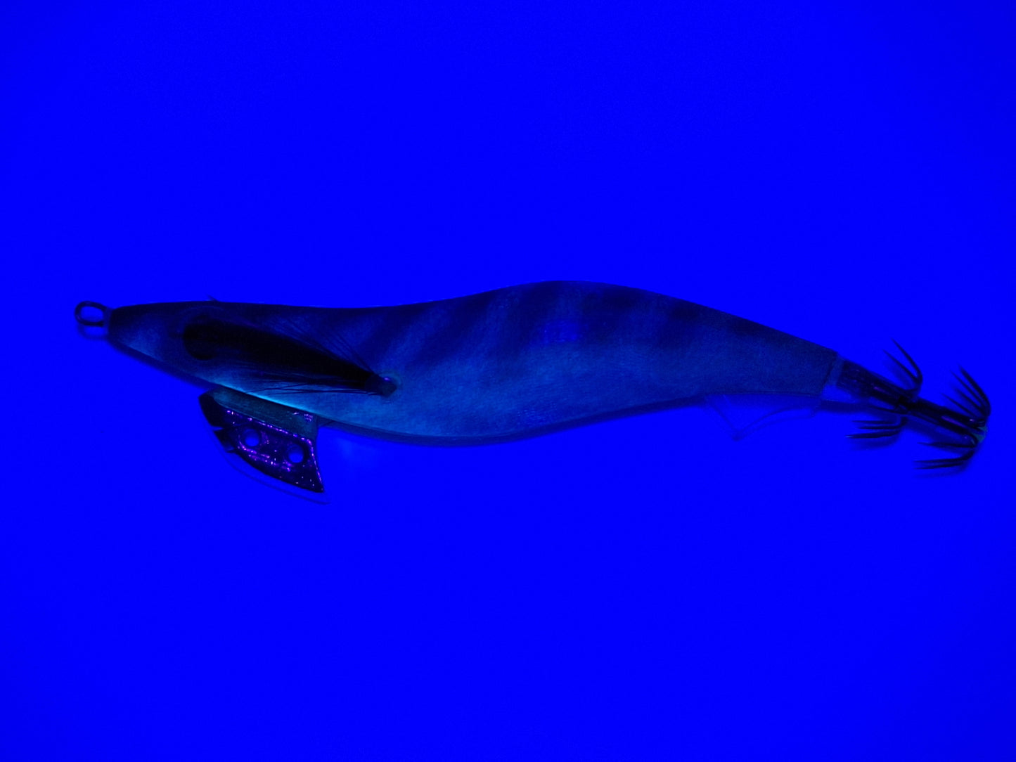 Egitex Wildscales Series: Slimy Mackerel