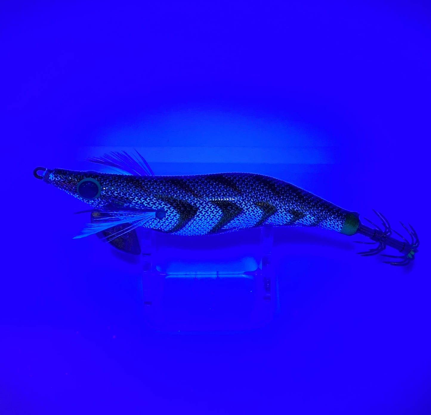 Bronzor
