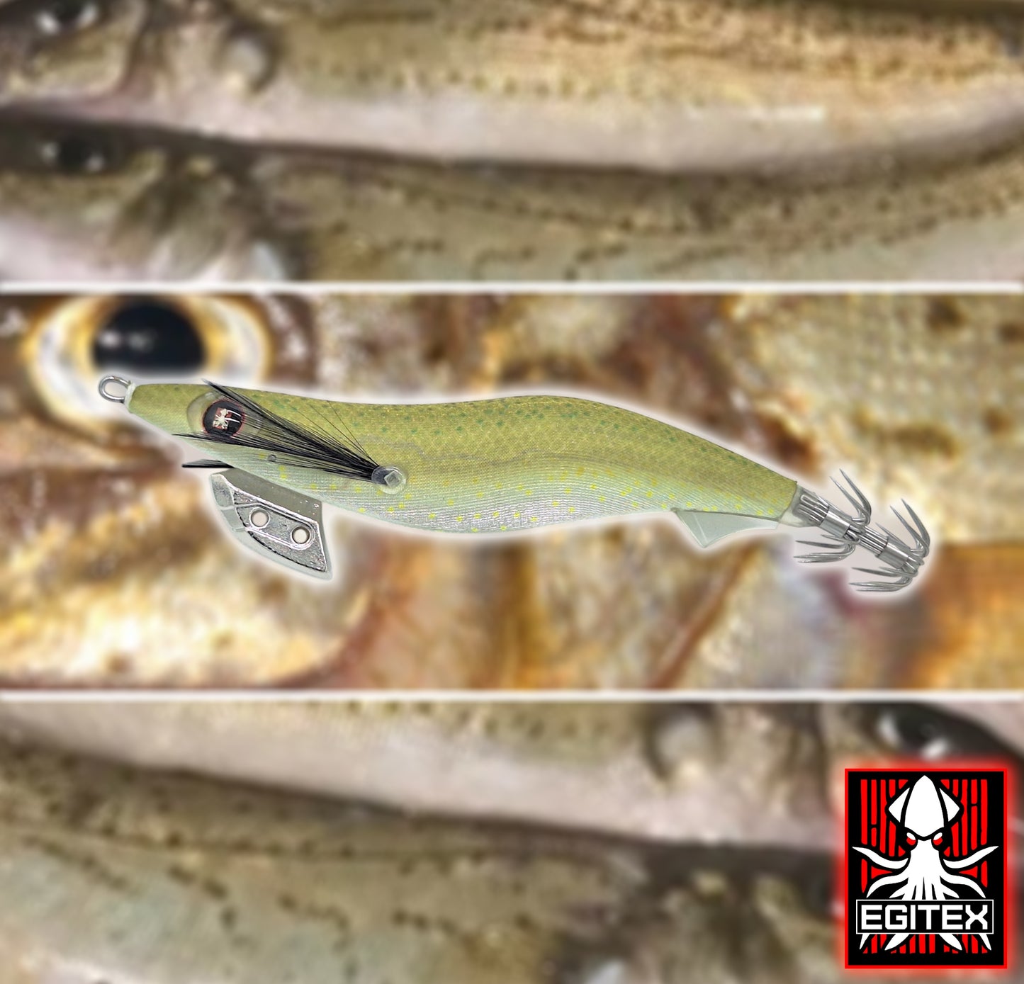 Egitex Wildscales Series: King George Whiting