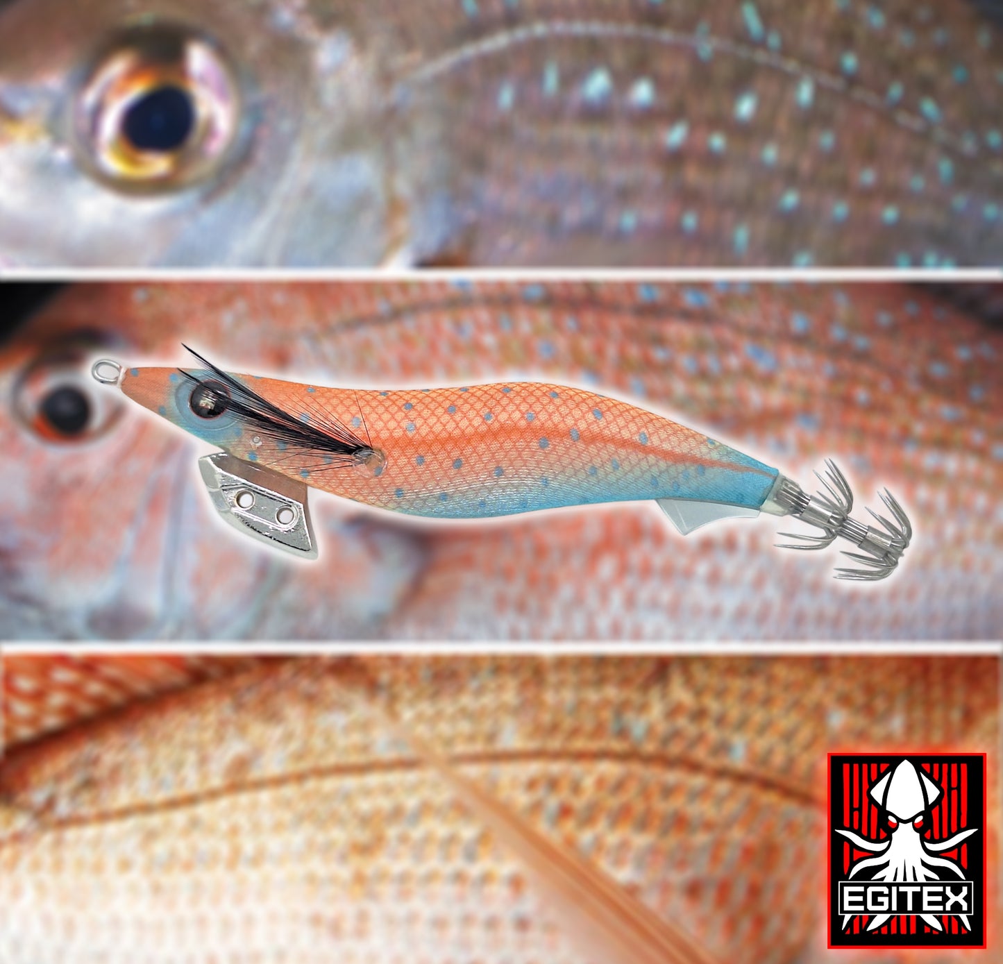 Egitex Wildscales Series: Snapper