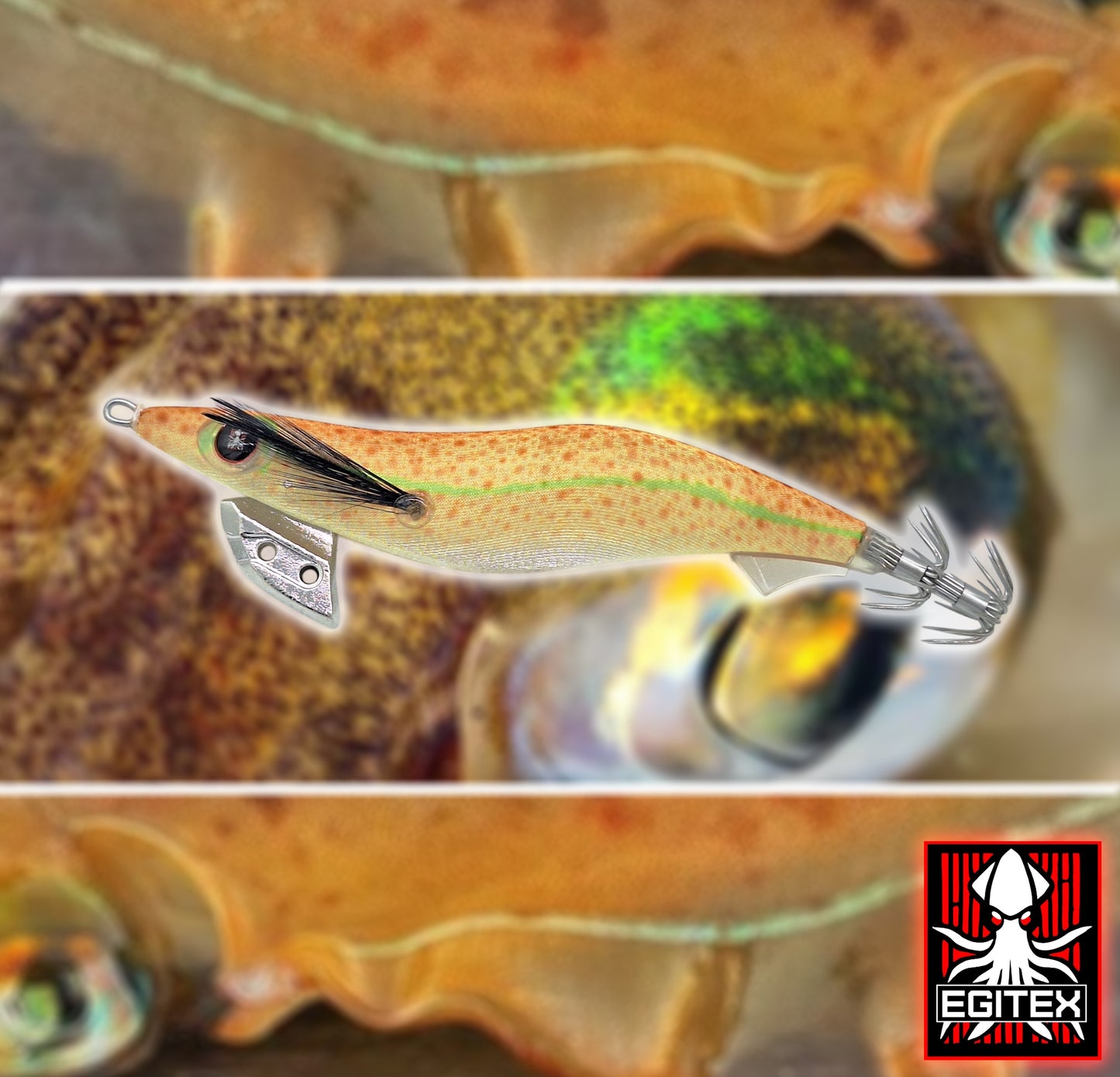 Egitex Wildscales Series: Southern Calamari